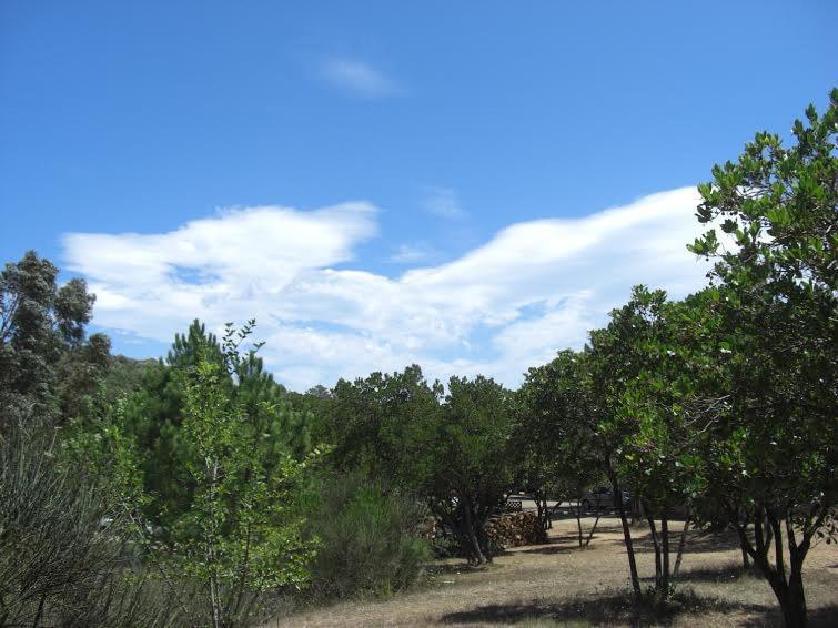 Camping California พินาเรลลู ภายนอก รูปภาพ